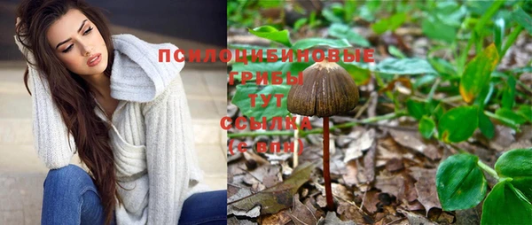 шишки Белокуриха