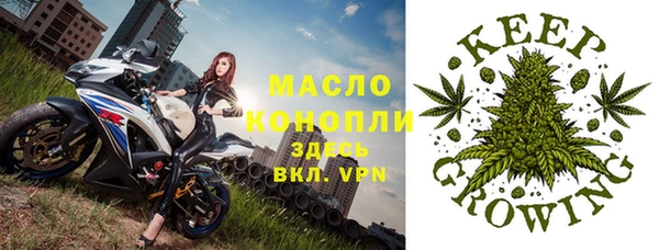 амф Богданович