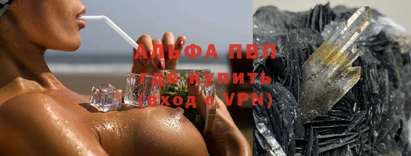 амф Богданович