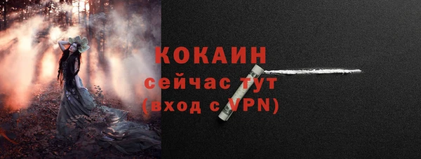 амф Богданович