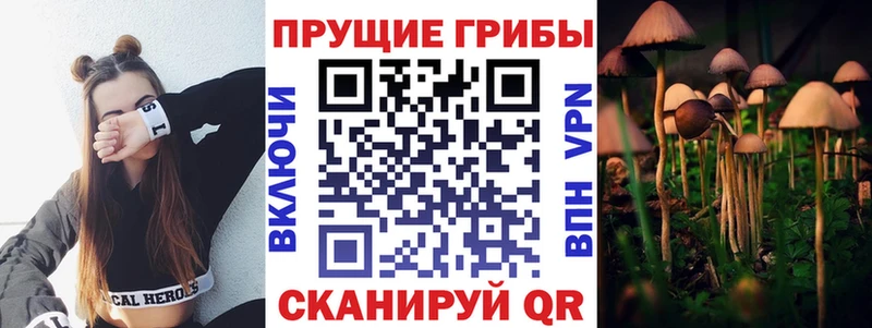 ОМГ ОМГ сайт  купить закладку  Кудымкар  Галлюциногенные грибы мухоморы 